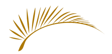 Coastal Carolina Lifestyles palm leaf logo