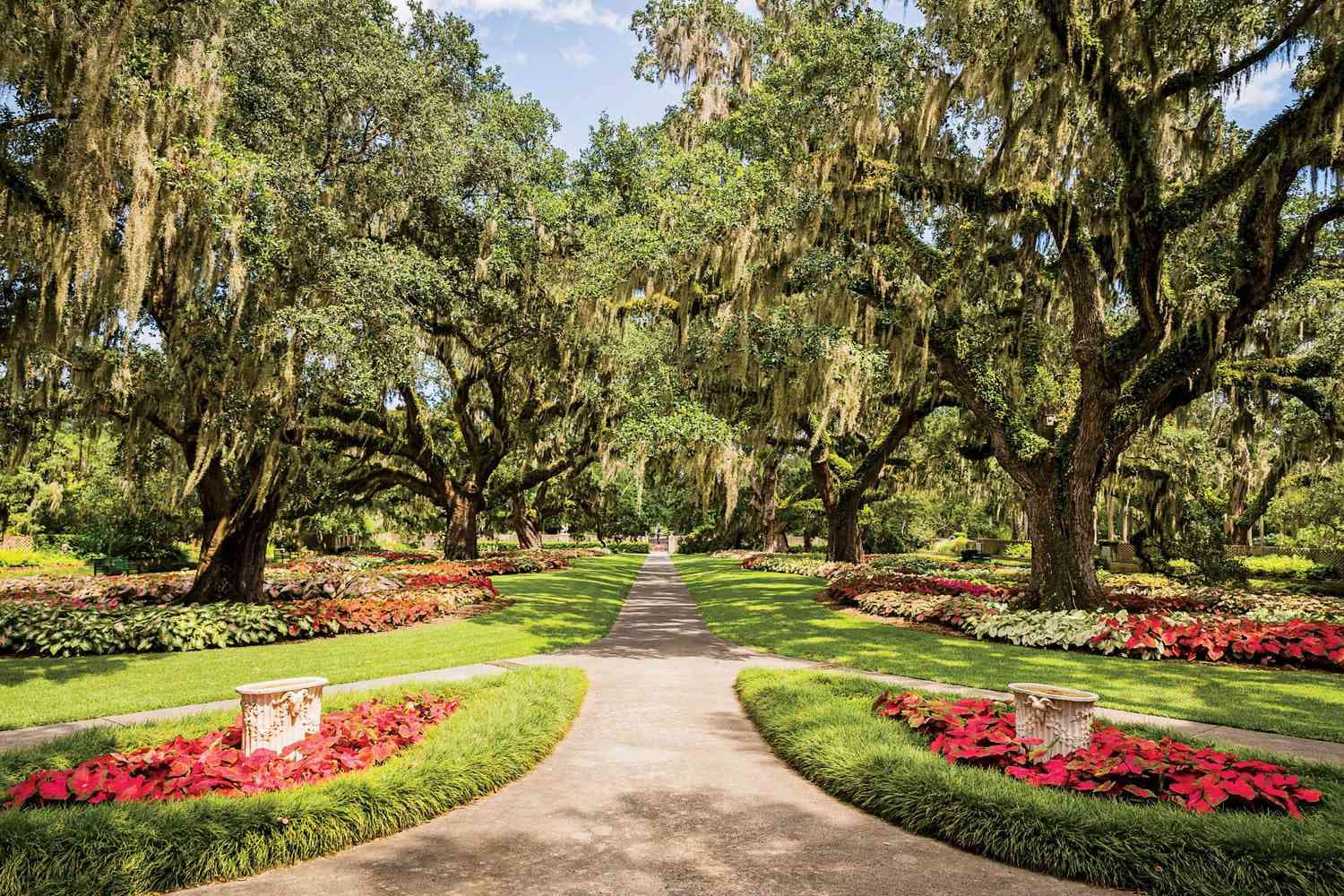 Garden path at Brookgreen Gardens with live oaks and landscaped beds